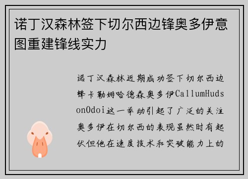 诺丁汉森林签下切尔西边锋奥多伊意图重建锋线实力